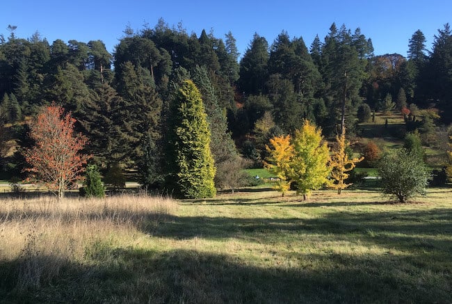 Bedgebury National Pinetum and Forest