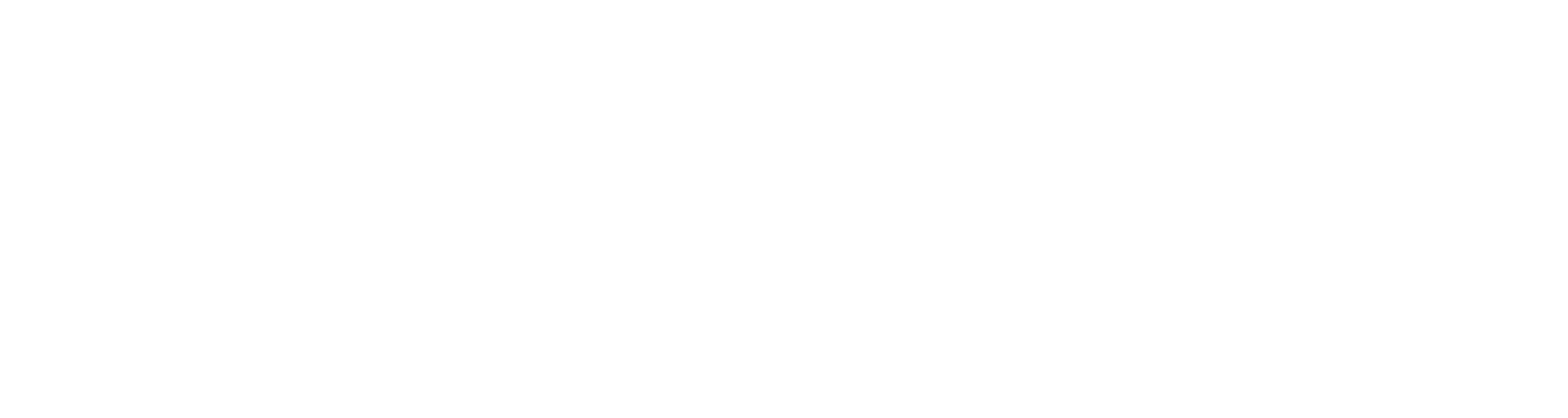 DDS_Logo_White_RGB (3)