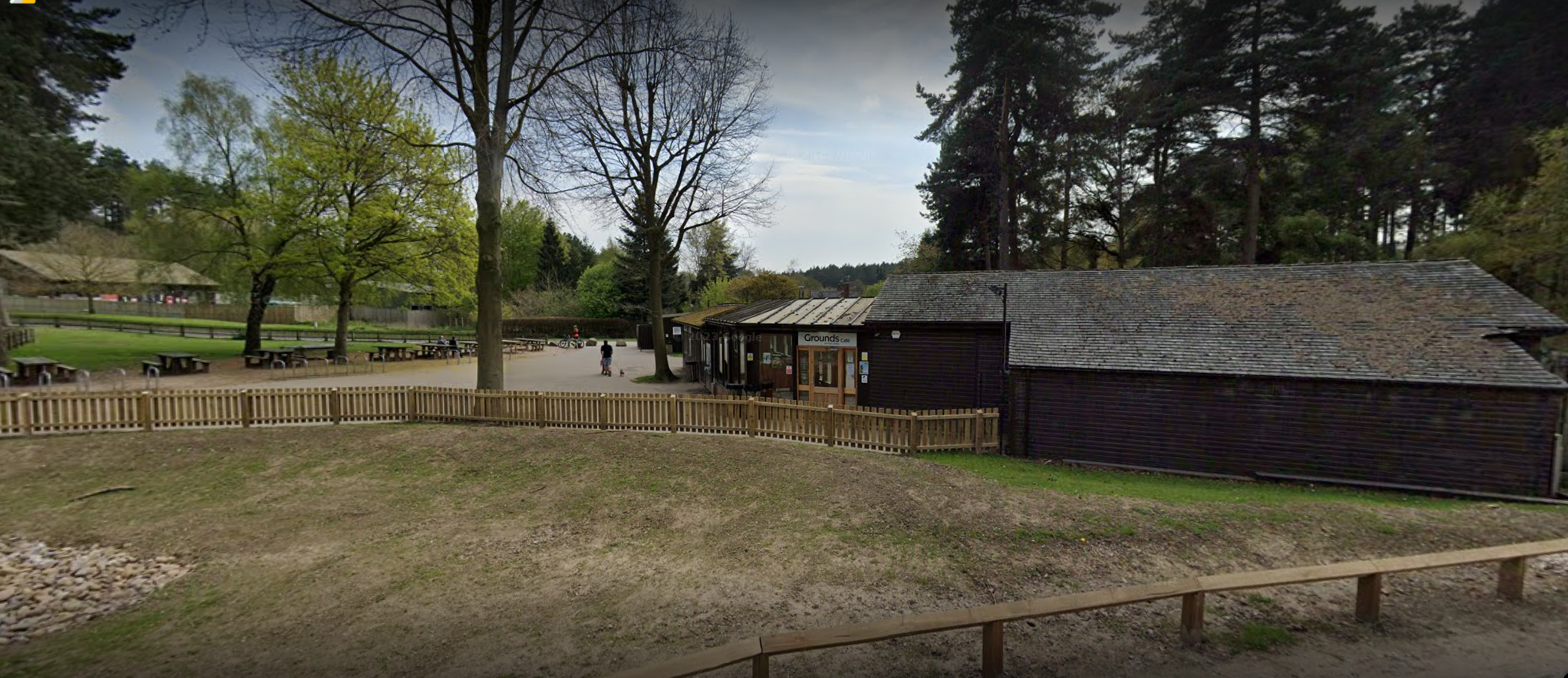 Cannock Chase Forest - Forestry England